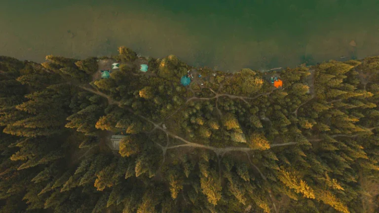 Featured image for Lost City of Z How Much is True